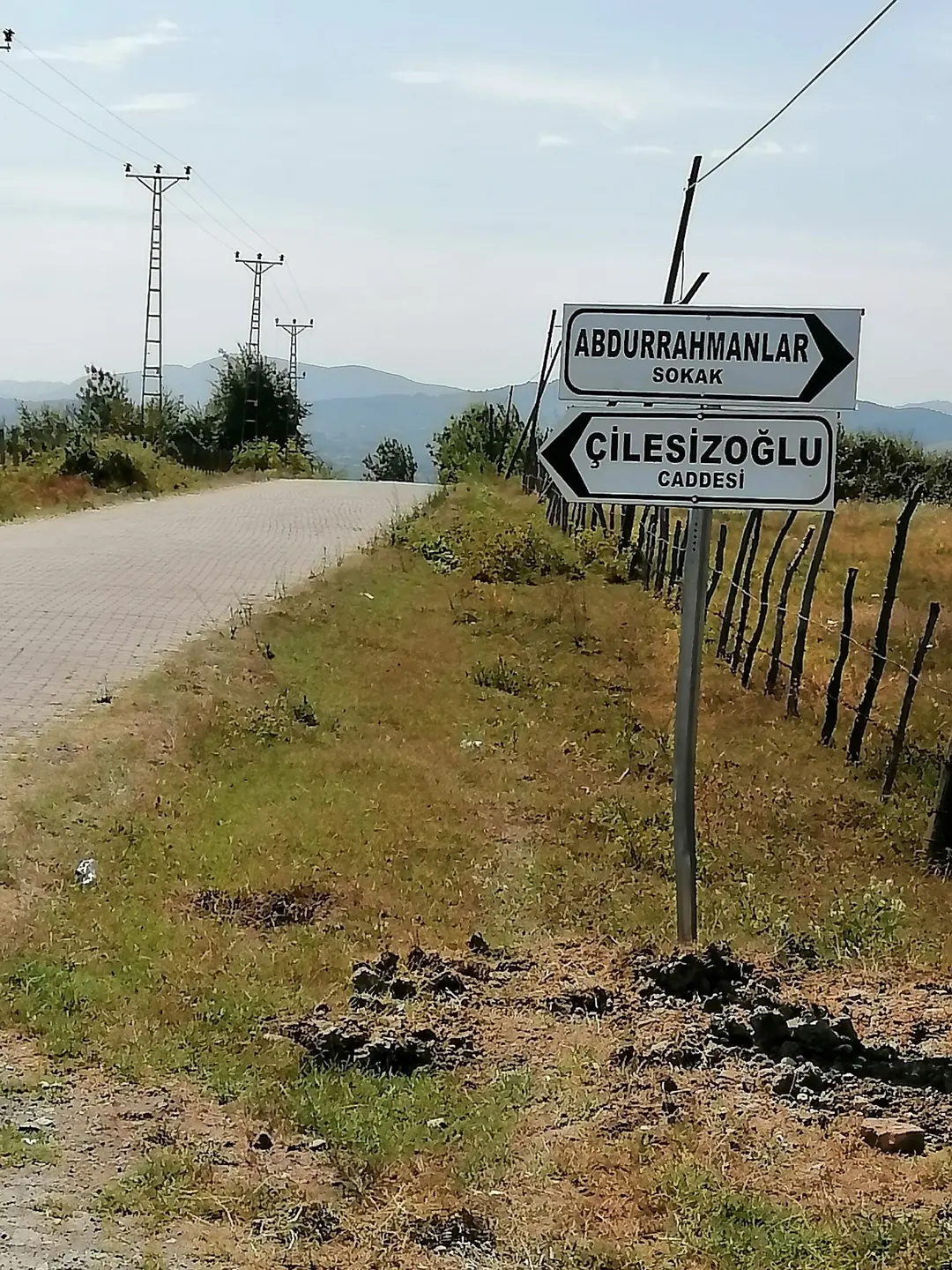 Karaevligeriş’te mahalle yolu ve yönlendirme tabelaları. 2024.