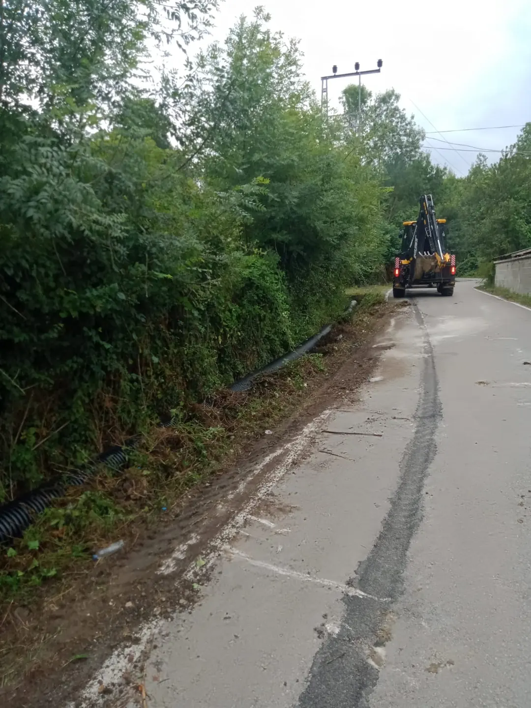 Yeşillikler arasındaki yol kenarında genişletme çalışması. 2024.